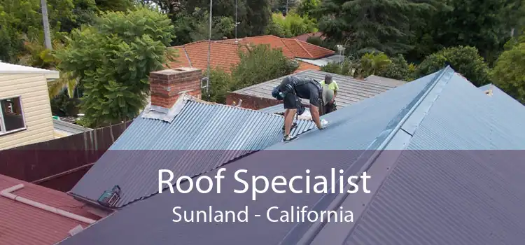 Roof Specialist Sunland - California