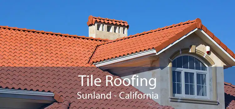 Tile Roofing Sunland - California