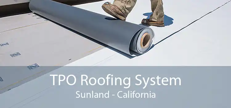 TPO Roofing System Sunland - California